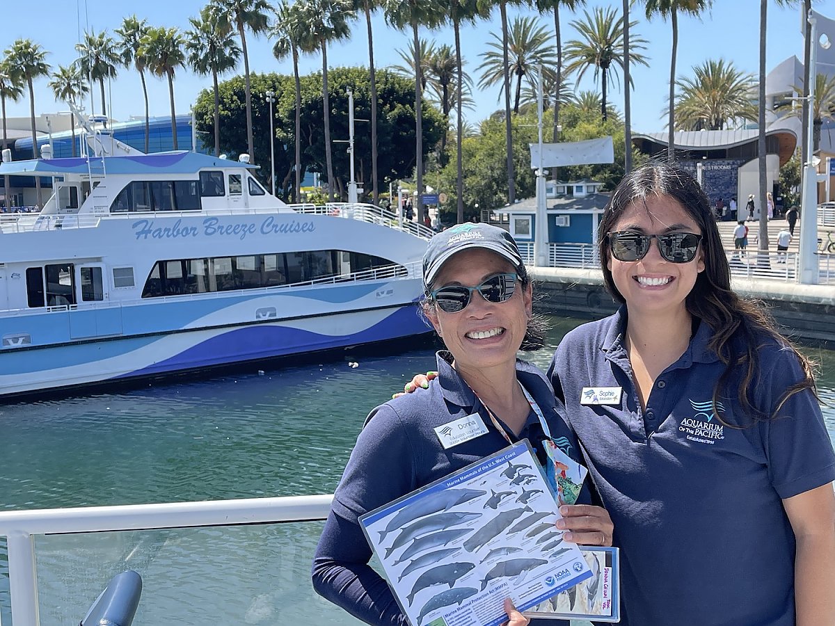 Education volunteers at the dock ready to board a whale watching cruise on a sunny day.